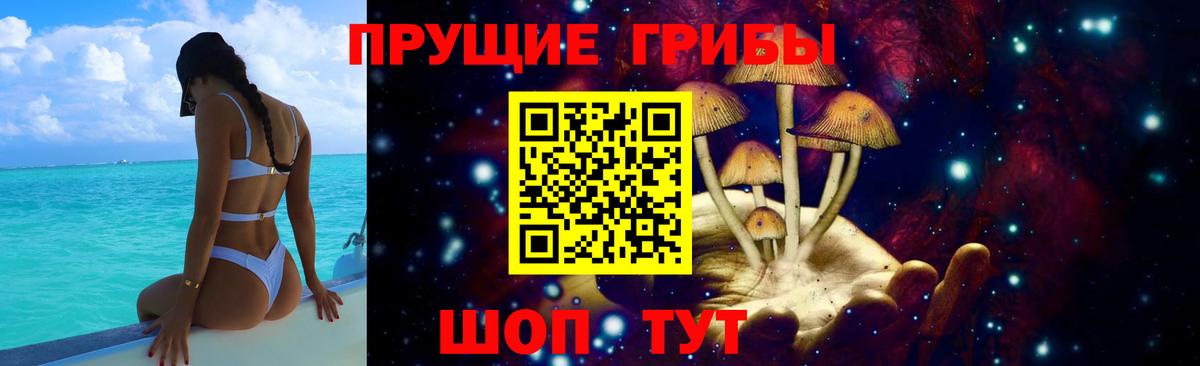 Псилоцибиновые грибы прущие грибы Москва