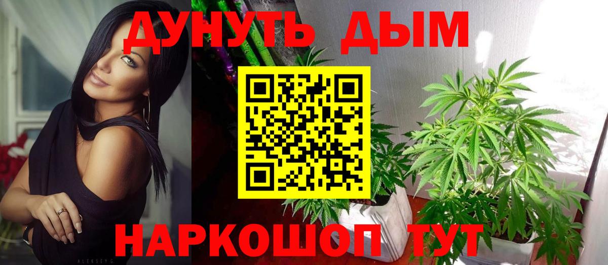 Москва  МАРИХУАНА сатива  Конопля план  Канабис план  Вход с VPN 